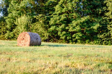 kırsal alanlar ile yaz aylarında rulo saman