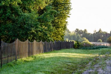 kırsal bahçe çit ve güneş ışınları ile sabahın erken saatlerinde