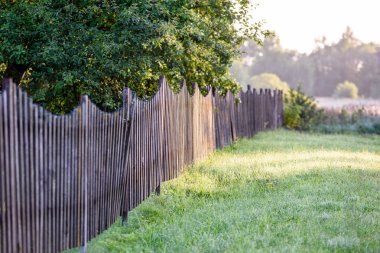 kırsal bahçe çit ve güneş ışınları ile sabahın erken saatlerinde