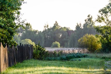 kırsal bahçe çit ve güneş ışınları ile sabahın erken saatlerinde