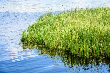 yaz göl üzerinde renkli bulutlar