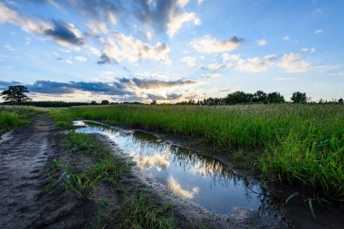 Yaz dramatik gün batımı ile kırsal alanları