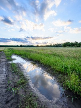 Yaz dramatik gün batımı ile kırsal alanları