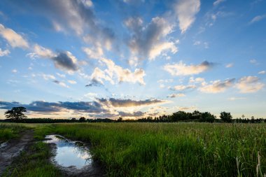 Yaz dramatik gün batımı ile kırsal alanları