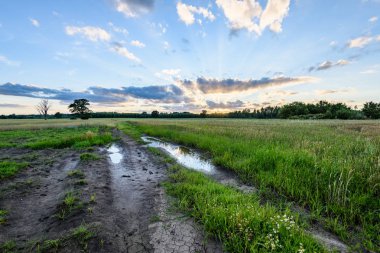 Yaz dramatik gün batımı ile kırsal alanları