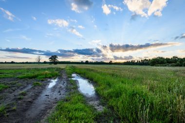 Yaz dramatik gün batımı ile kırsal alanları