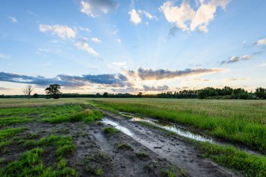 Yaz dramatik gün batımı ile kırsal alanları