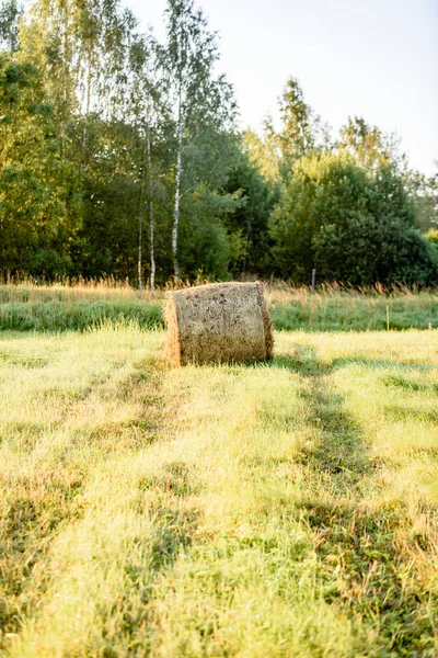 kırsal alanlar ile yaz aylarında rulo saman