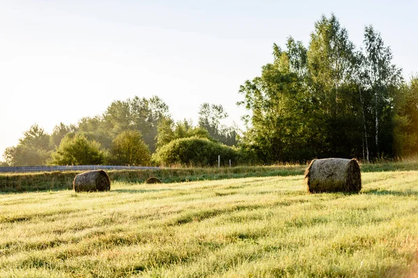 Champs ruraux en été avec des rouleaux de foin — Photo