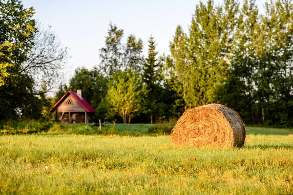 Сільські поля влітку з рулонами сіна — стокове фото