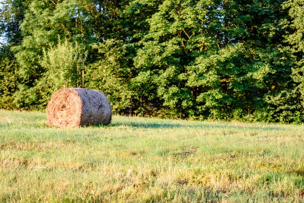 kırsal alanlar ile yaz aylarında rulo saman
