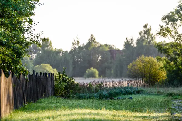 kırsal bahçe çit ve güneş ışınları ile sabahın erken saatlerinde