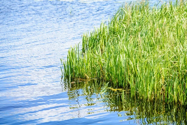 yaz göl üzerinde renkli bulutlar
