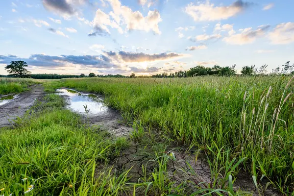 Yaz dramatik gün batımı ile kırsal alanları