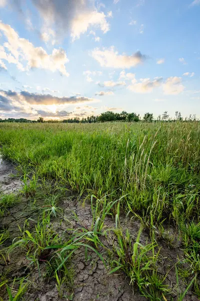 Yaz dramatik gün batımı ile kırsal alanları