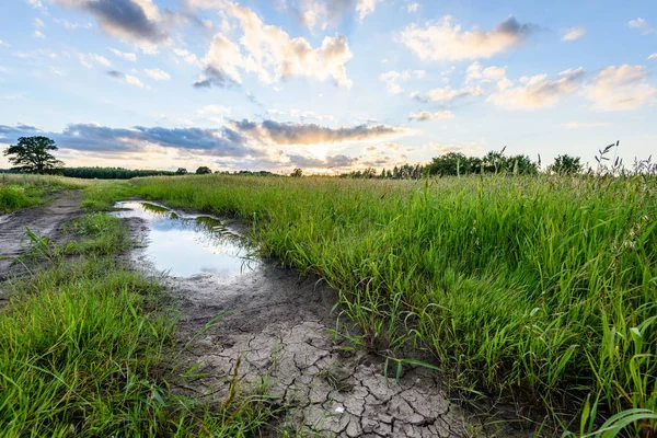 Yaz dramatik gün batımı ile kırsal alanları
