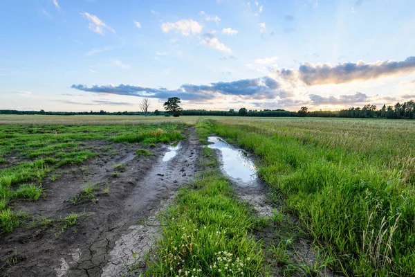 Yaz dramatik gün batımı ile kırsal alanları