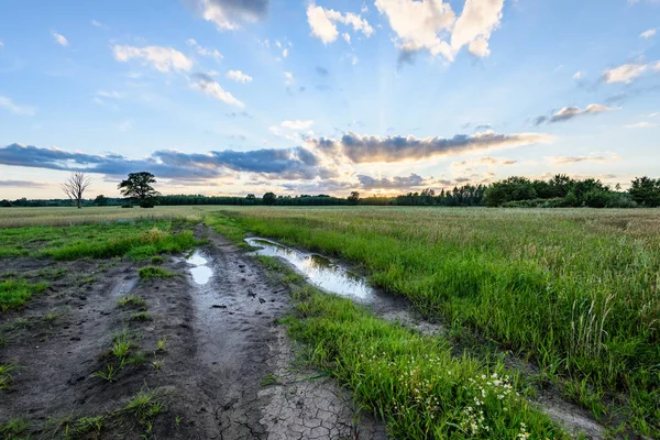 Yaz dramatik gün batımı ile kırsal alanları