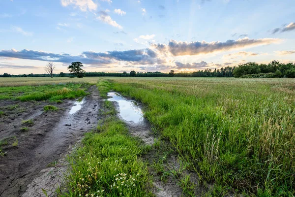 Yaz dramatik gün batımı ile kırsal alanları