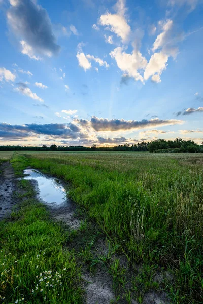Yaz dramatik gün batımı ile kırsal alanları