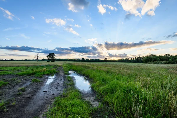 Yaz dramatik gün batımı ile kırsal alanları