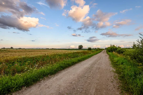 sabah güneş ışınları ile köy yolunda