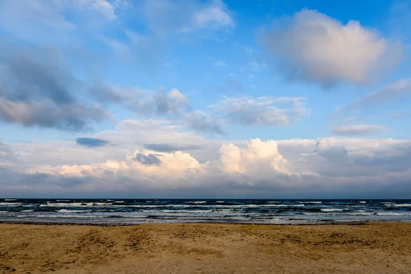 Sabah yalnız ağaçlar ile fırtınalı bir plaj görünümünü