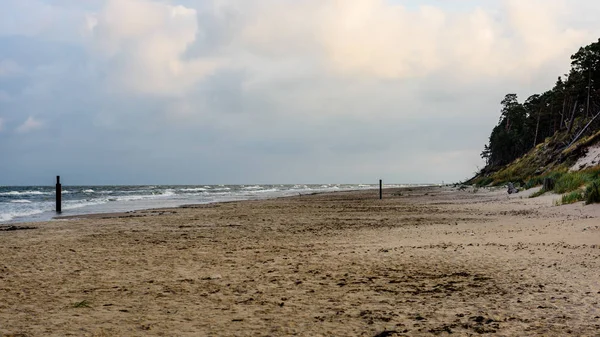 Kilátás a viharos strand reggel magányos fák — Stock Fotó