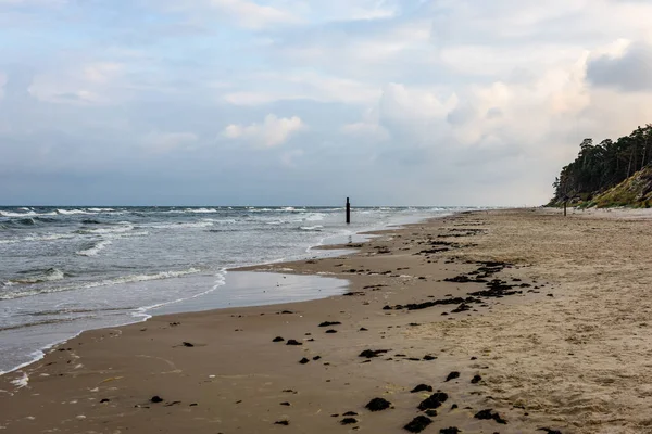 Vista de una playa tormentosa por la mañana con árboles solitarios —  Fotos de Stock