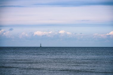 arka planda - vintage f mavi bulutlar ile sahildeki martılar