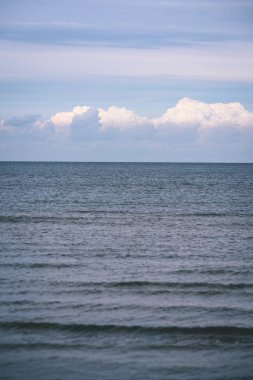 arka planda - vintage f mavi bulutlar ile sahildeki martılar