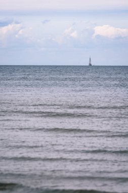 arka planda - vintage f mavi bulutlar ile sahildeki martılar