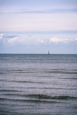 arka planda - vintage f mavi bulutlar ile sahildeki martılar