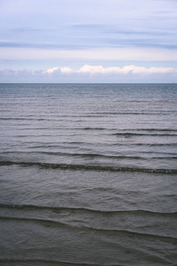 arka planda - vintage f mavi bulutlar ile sahildeki martılar