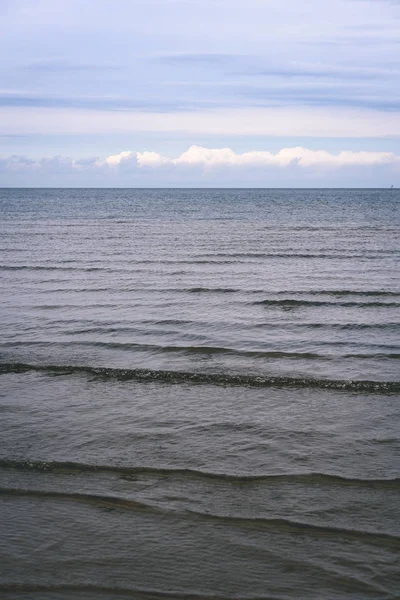 Mouettes sur la plage avec des nuages bleus en arrière-plan - vintage f — Photo