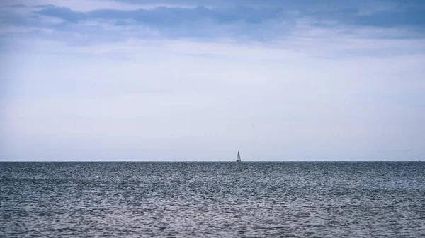 Gaivotas na praia com nuvens azuis no fundo - vintage f — Fotografia de Stock