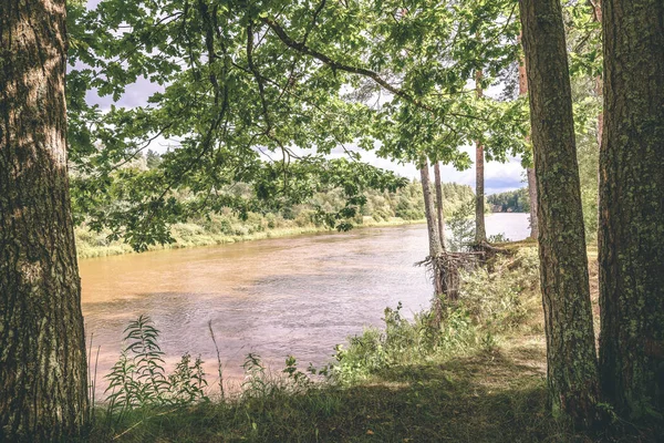 meşe ağacının dalları yaz Nehri - vintage etkisi üzerinde