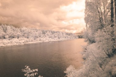 su yansımalar. kızılötesi görüntü - vintage etkisi