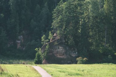 Beautyful sabah orman Nehri - vintage etkisi ışık