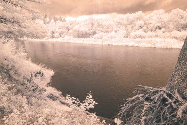 su yansımalar. kızılötesi görüntü - vintage etkisi