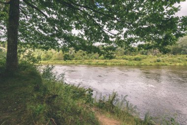 meşe ağacının dalları yaz Nehri - vintage etkisi üzerinde