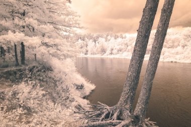 su yansımalar. kızılötesi görüntü - vintage etkisi