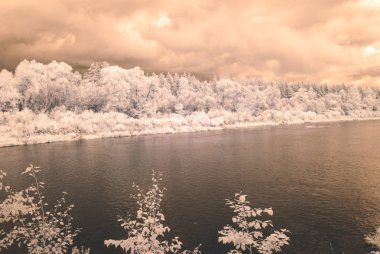 su yansımalar. kızılötesi görüntü - vintage etkisi