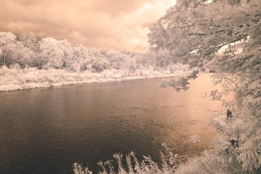 su yansımalar. kızılötesi görüntü - vintage etkisi