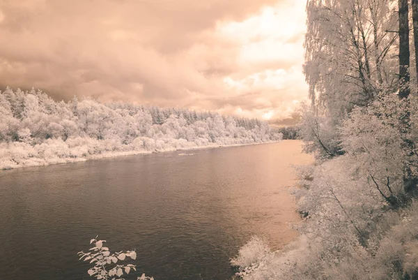 su yansımalar. kızılötesi görüntü - vintage etkisi