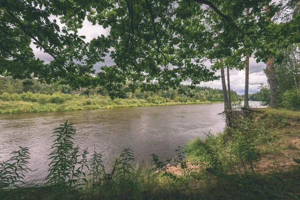 Rami di quercia sul fiume estivo effetto vintage — Foto Stock
