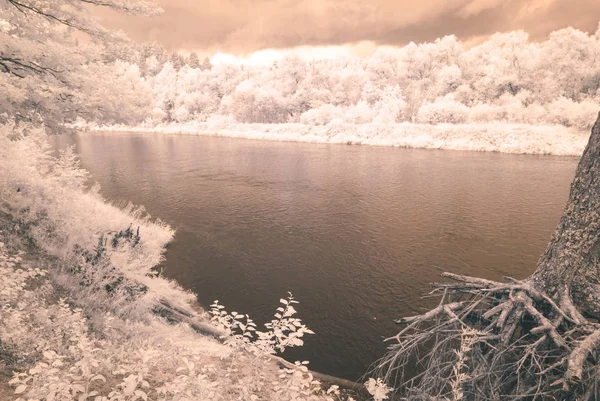 su yansımalar. kızılötesi görüntü - vintage etkisi