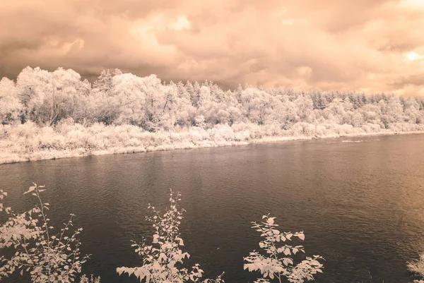 su yansımalar. kızılötesi görüntü - vintage etkisi