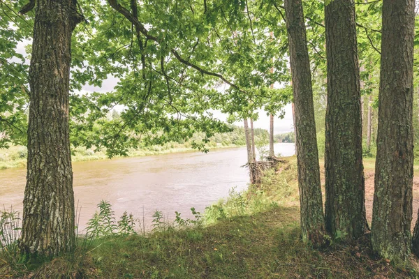 meşe ağacının dalları yaz Nehri - vintage etkisi üzerinde