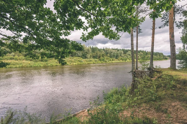 Rami di quercia sul fiume estivo effetto vintage — Foto Stock